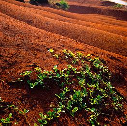遥遥领先！ 《战地6》将在人数不够的对局中引入AI